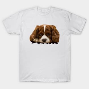 Spaniel T-Shirt